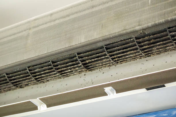 Best Duct Cleaning Specialists  in Falls Church, VA